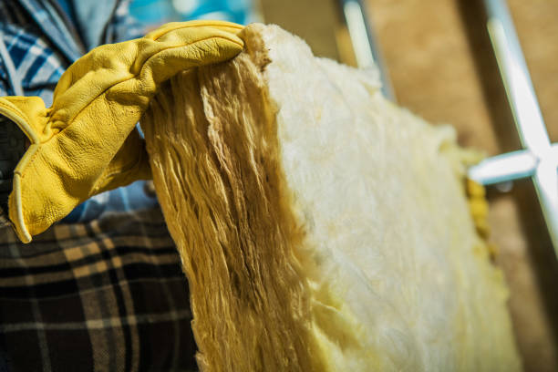Types of Insulation We Offer in Eldersburg, MD